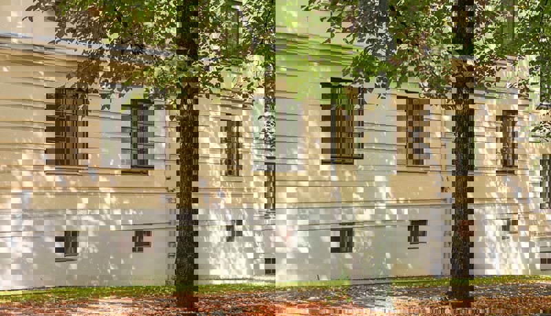 Boligbygg med vinduer og et tre som står utenfor med blader på gangstien foran. 