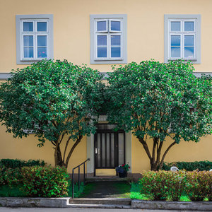 Bilde av et gult og eldre boligbygg i Oslo