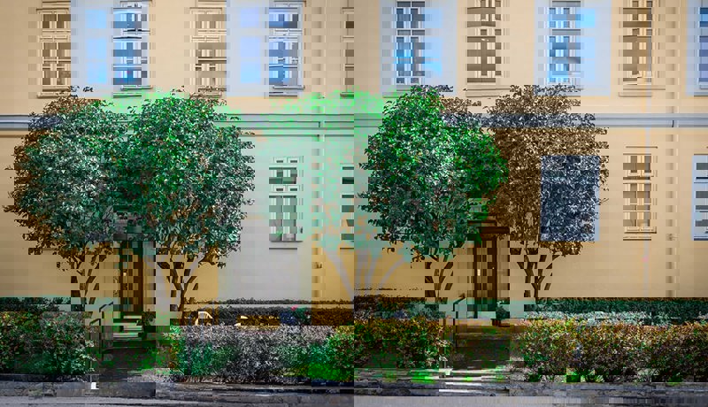 En boligblokk med to trær utenfor inngangsdøra